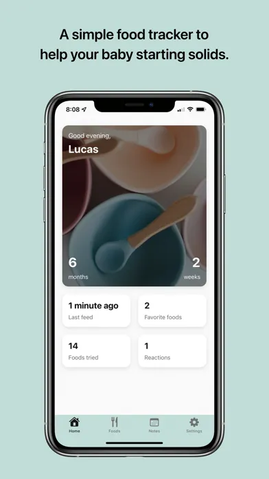 ภาพหน้าจอของ Solid - Baby Food Tracker