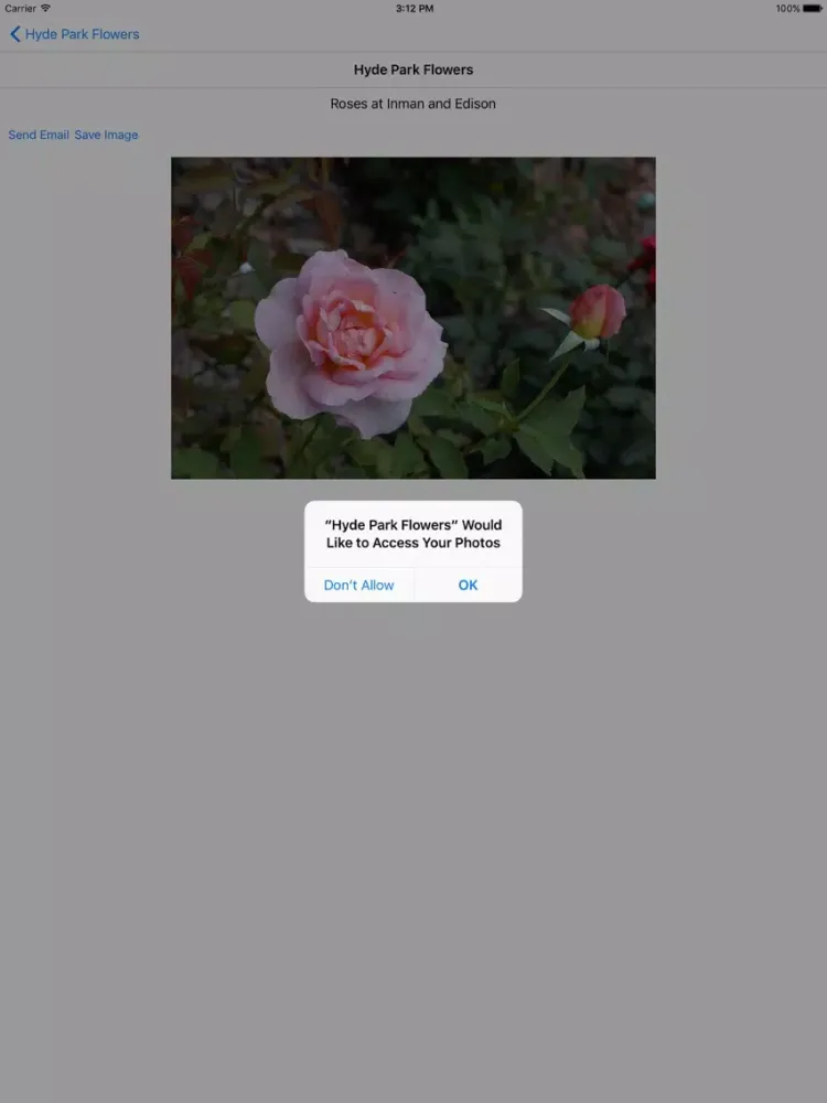 Hyde Park Flowers iPad  Screenshots