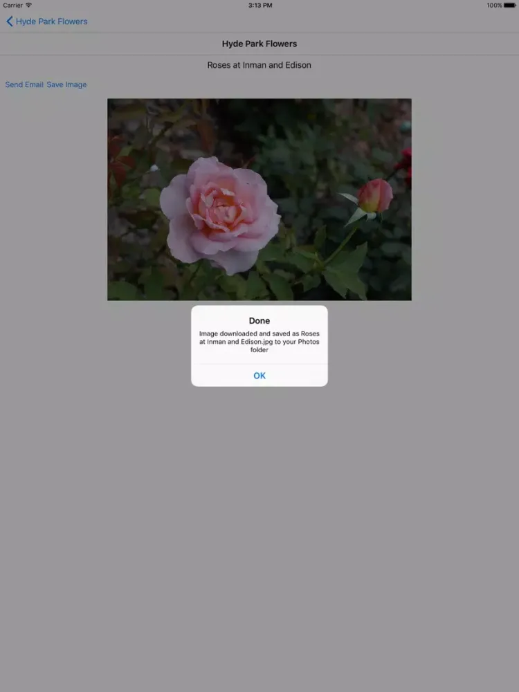 Hyde Park Flowers iPad  Screenshots