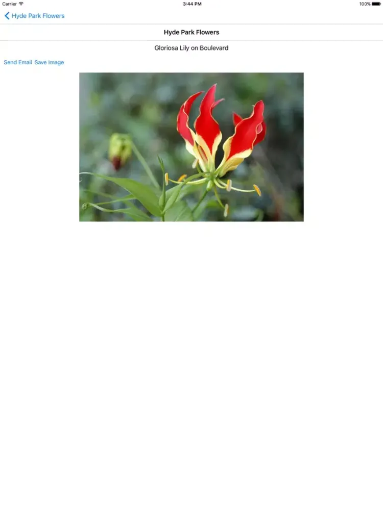Hyde Park Flowers iPad  Screenshots