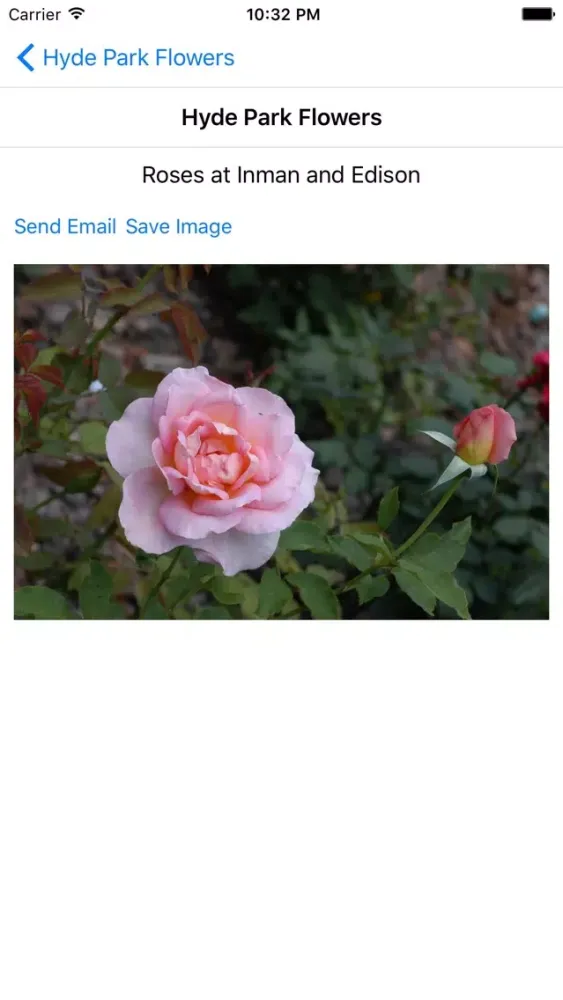 Hyde Park Flowers Screenshots