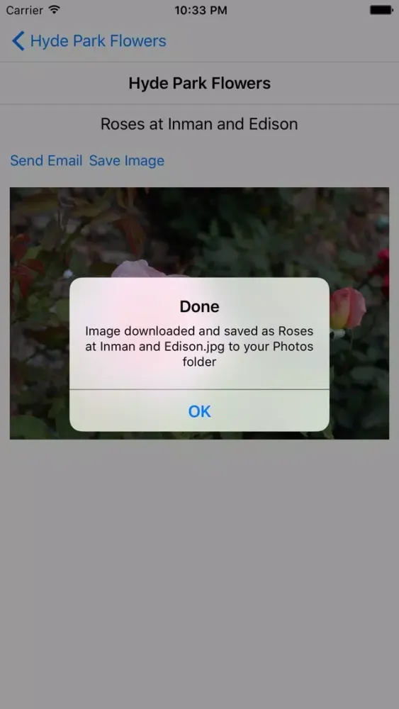 Hyde Park Flowers Screenshots