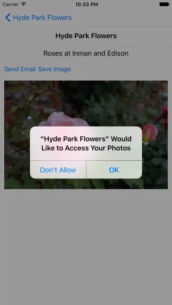 Hyde Park Flowers Screenshots
