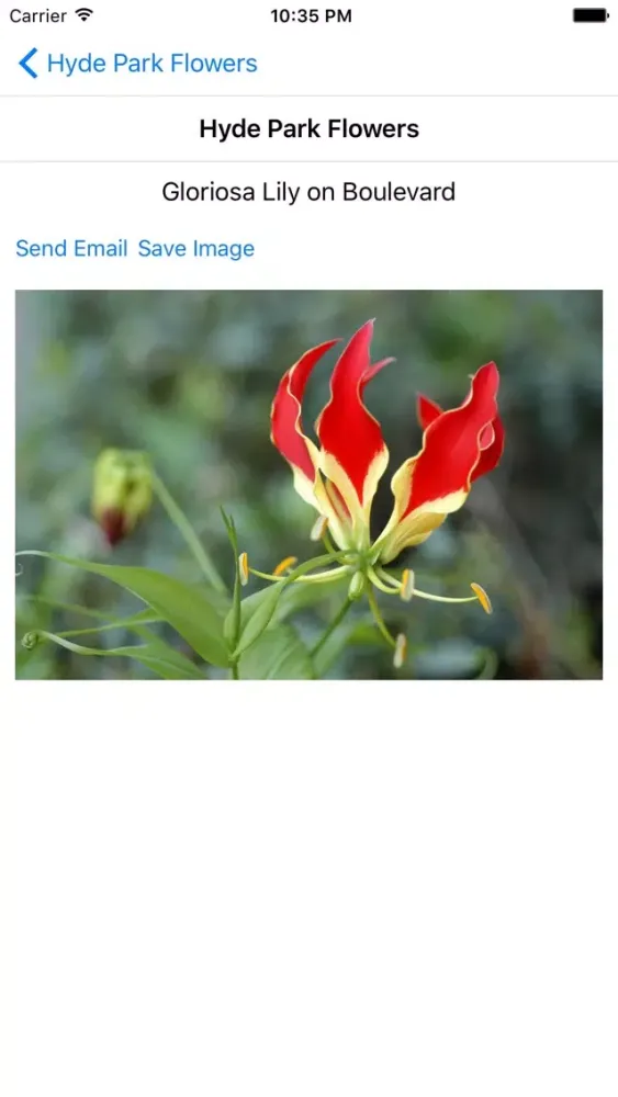 Hyde Park Flowers Screenshots