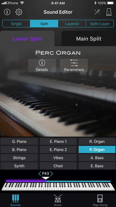 Williams Piano স্ক্রিনশট