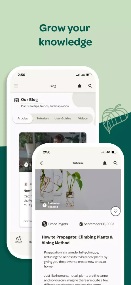 Willow Screenshots