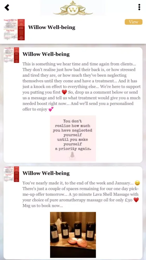 Capturas de pantalla de Willow Well-being