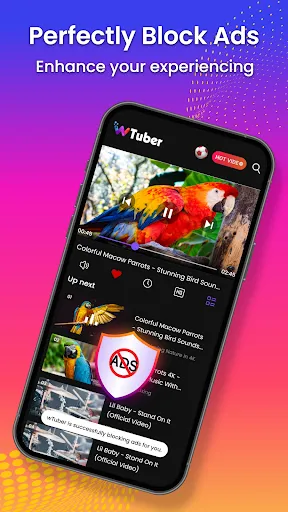 Video Player All Format-wTuber应用截图