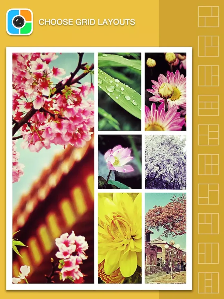 Photo Gríd iPad  스크린샷