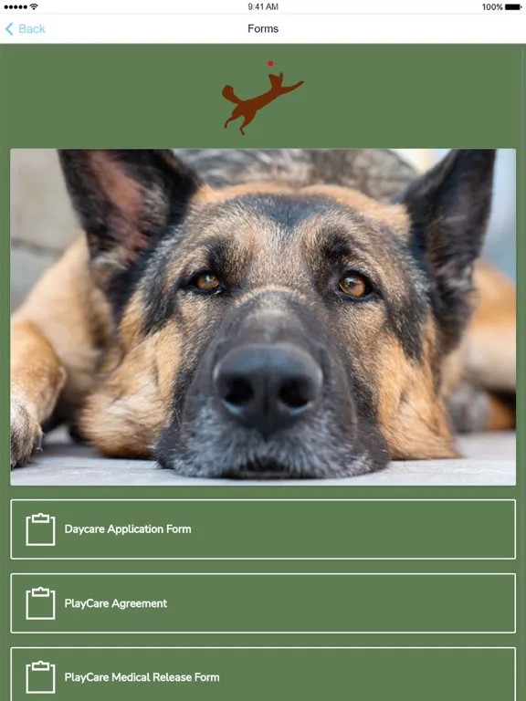 Captures d'écran de Windy Bog Doggie PlayCare iPad 