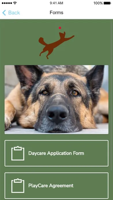 Captures d'écran de Windy Bog Doggie PlayCare
