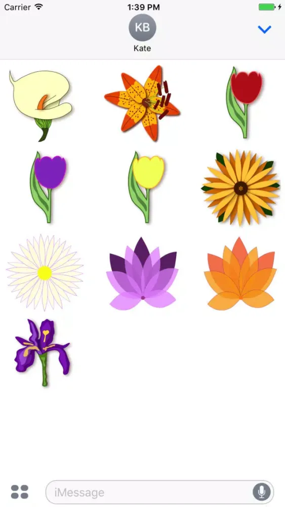 Springtime Flowers应用截图