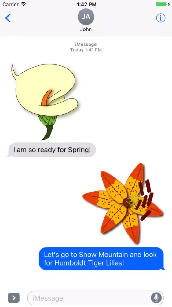 Springtime Flowers应用截图