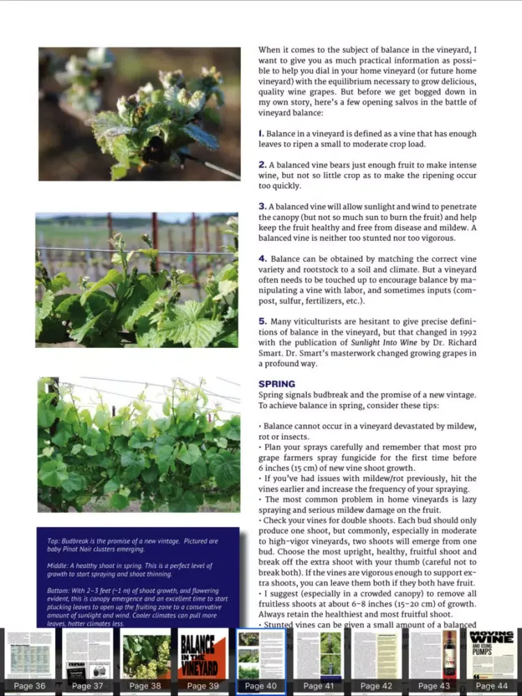 ภาพหน้าจอของ WineMaker Magazine iPad 