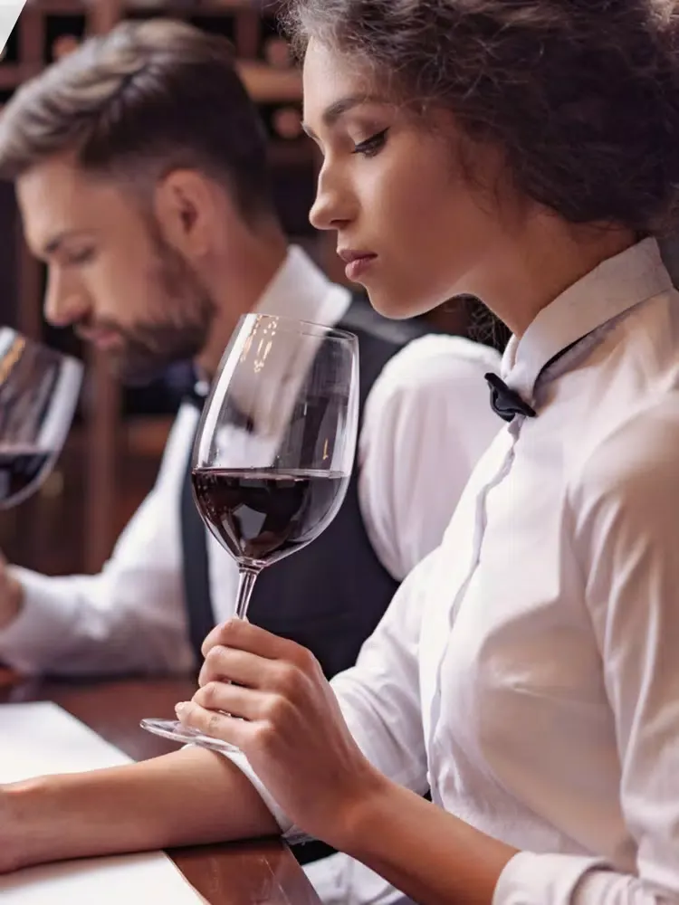 Wine Rating Search Secrets app iPad  स्क्रीनशॉट