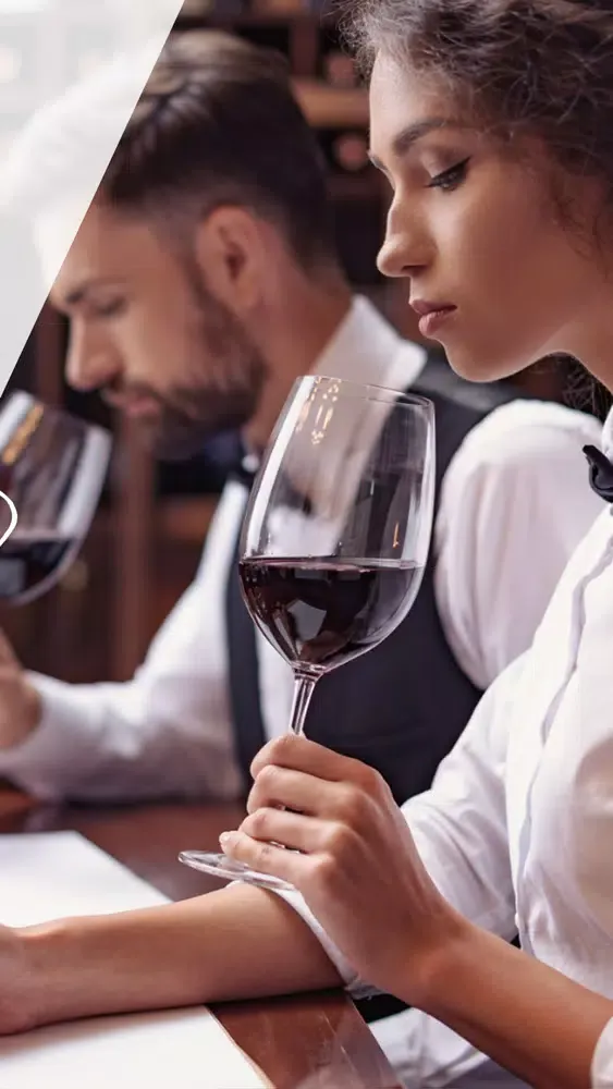 Wine Rating Search Secrets app स्क्रीनशॉट