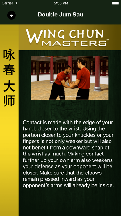 Captures d'écran de Wing Chun Masters 2 - HD
