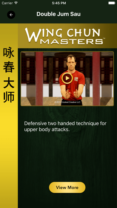Captures d'écran de Wing Chun Masters 2 - HD
