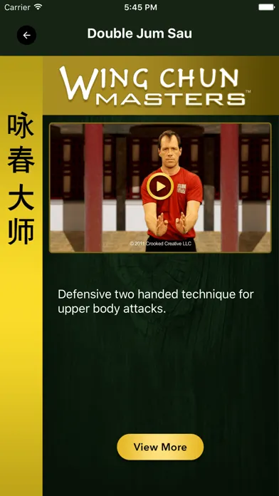 Tangkapan layar Wing Chun Masters 2 - HD