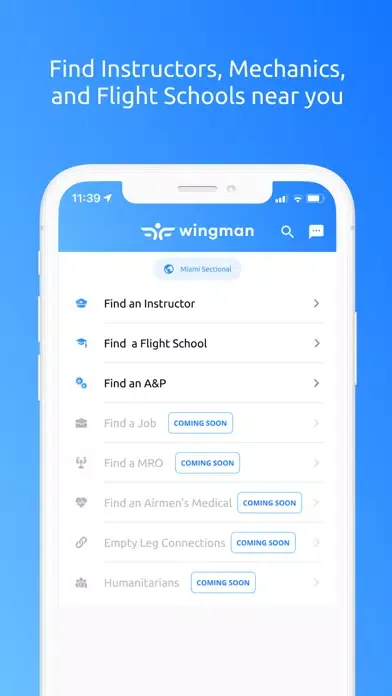 Wingman Connect应用截图