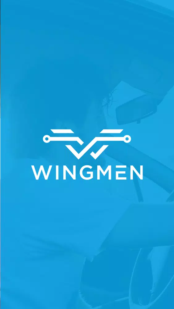 Captures d'écran de Wingmen Driver