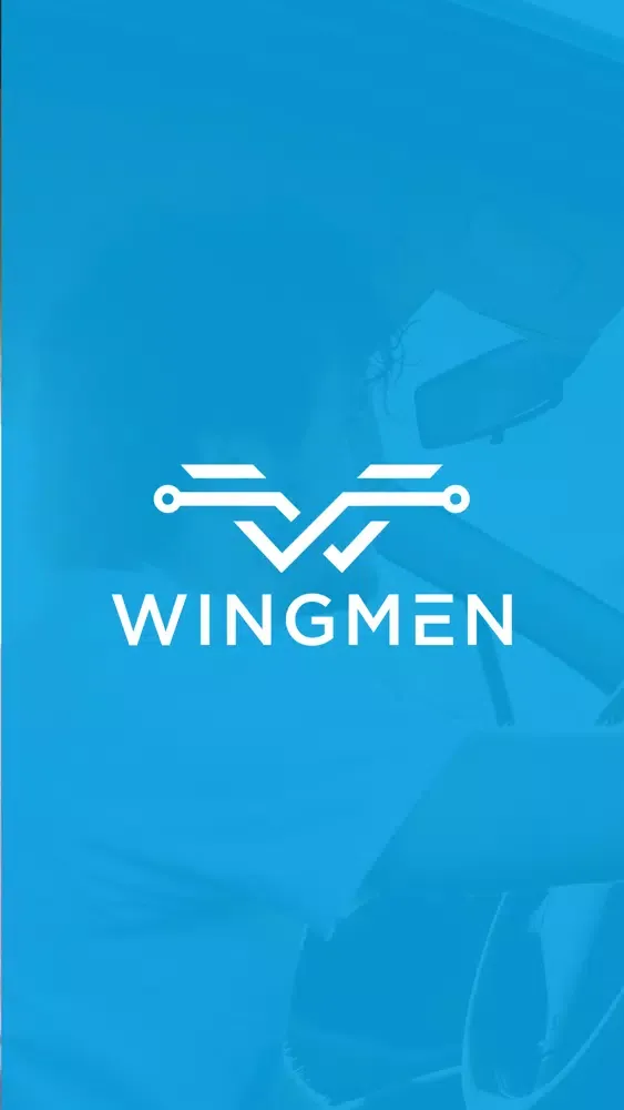 Скриншоты Wingmen Driver