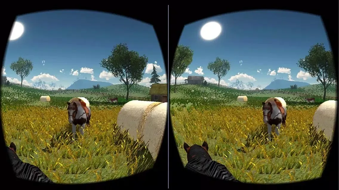 صور VR Horse Ride