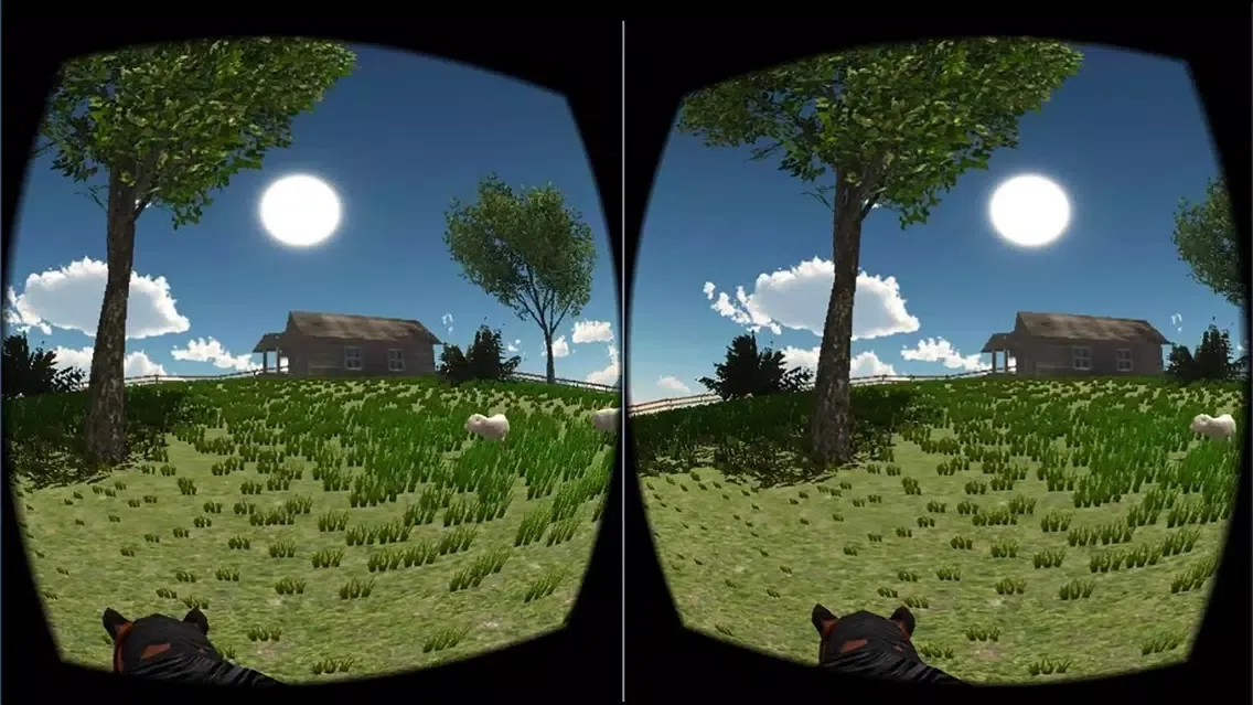 صور VR Horse Ride
