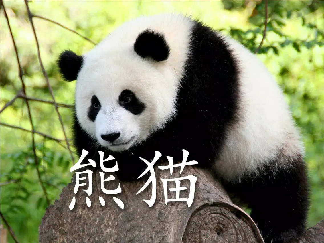 动物书 HD iPad  Screenshots