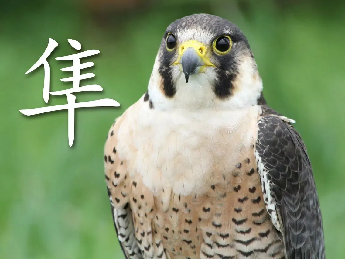 动物书 HD iPad  Screenshots