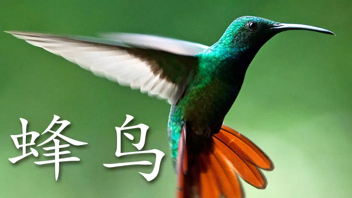 动物书 HD Screenshots