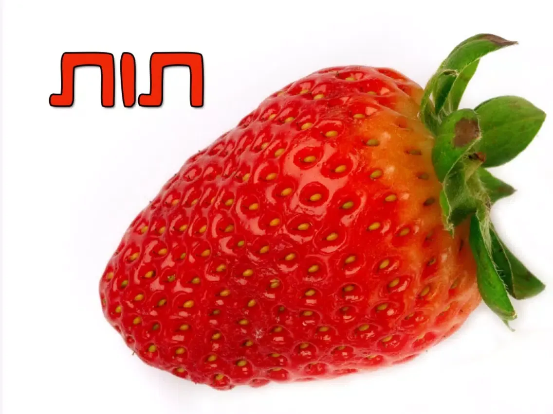 טבע בתמונות - גרסא חינמית iPad  سکرین شاٹس