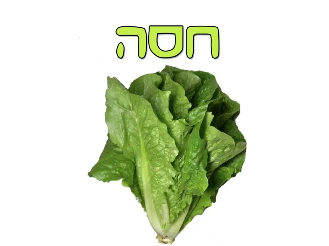 טבע בתמונות - גרסא חינמית iPad  سکرین شاٹس