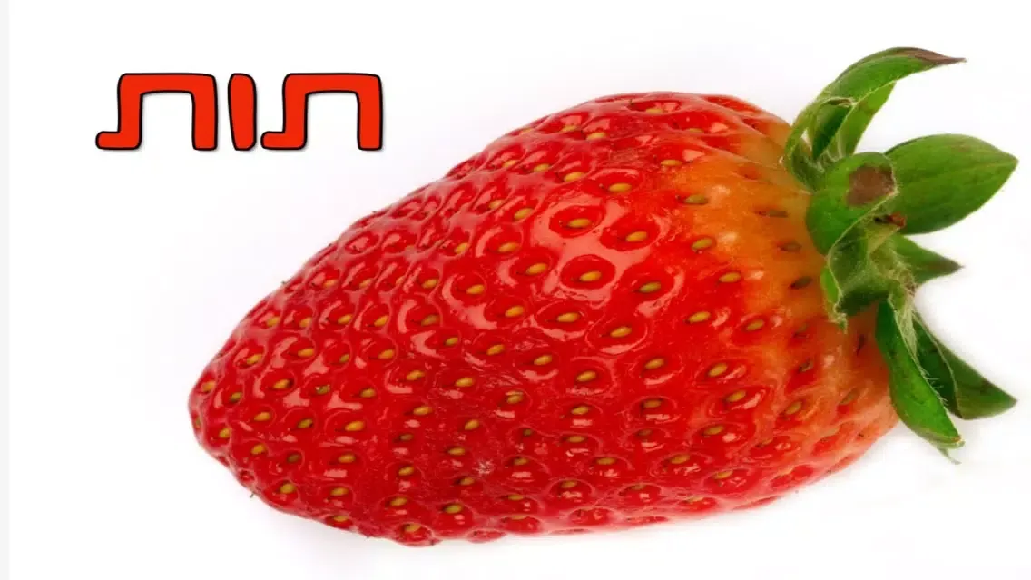 טבע בתמונות - גרסא חינמית سکرین شاٹس