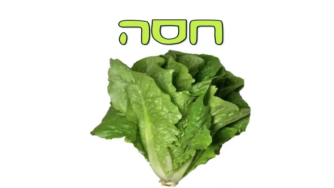 טבע בתמונות - גרסא חינמית سکرین شاٹس