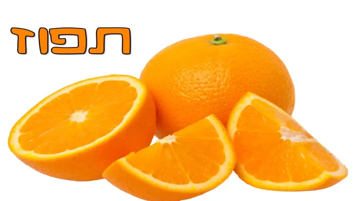 טבע בתמונות - גרסא חינמית سکرین شاٹس