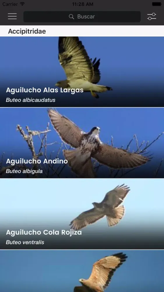 Birds of Argentina and Uruguay应用截图