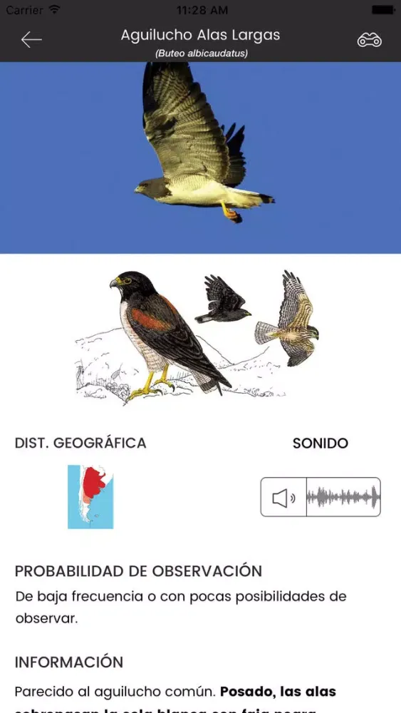 Birds of Argentina and Uruguay应用截图