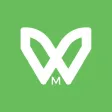 Winie Merch
