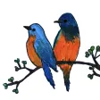 Handdrawn Birds Handdrawn Birds