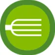Fork and Salad