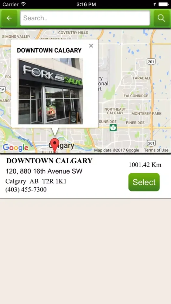 Fork and Salad应用截图