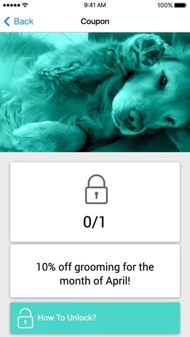 Скриншоты Wipe Your Paws