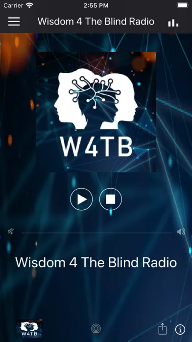 Capturas de pantalla de Wisdom 4 The Blind Radio