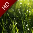 Experiences Free: Rainfall Experiences Free: Rainfall