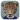 Animal Face