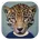 Animal Face