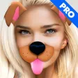 Doggy Face Photo Pro Doggy Face Photo Pro