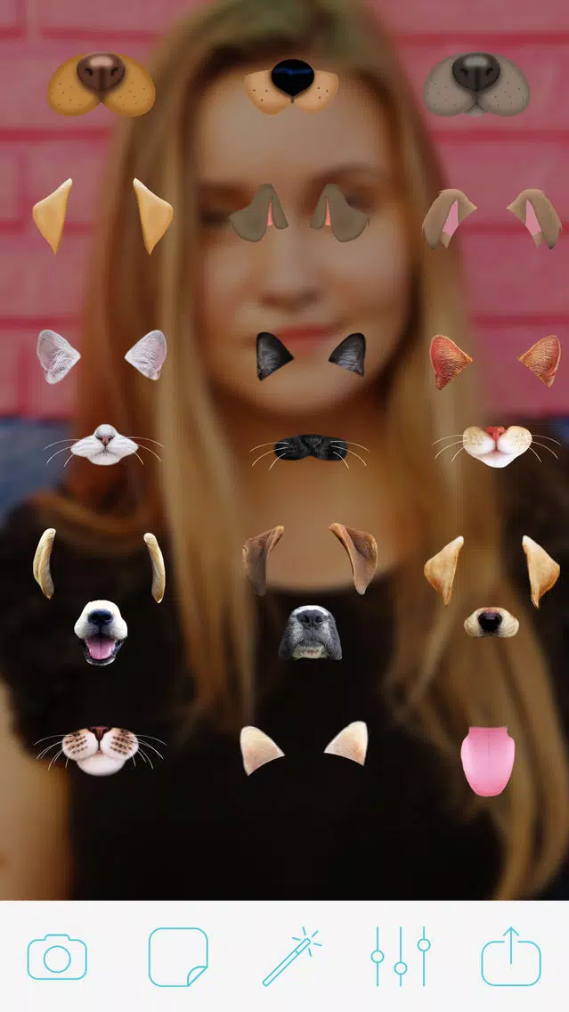 Doggy Face Photo Pro應用截圖