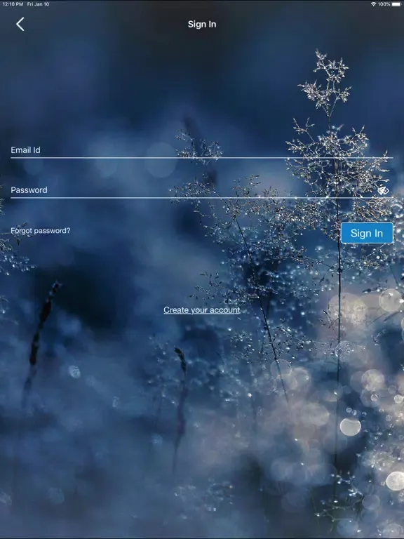 Capturas de pantalla de WISHFEE iPad 